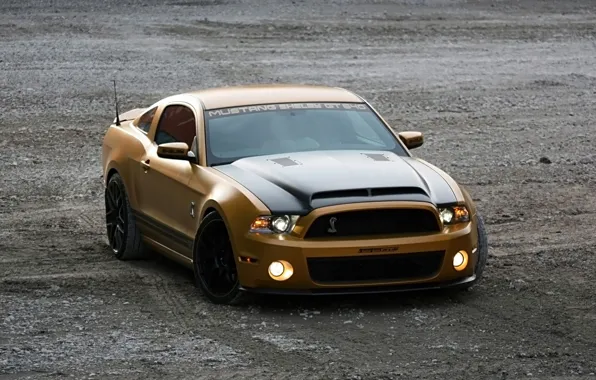 Картинка Shelby, Ford Mustang, cars, auto, GT640, Золотой Змеи
