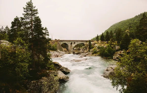 Картинка river, bridge, fog, hill, stones, pine, rainy
