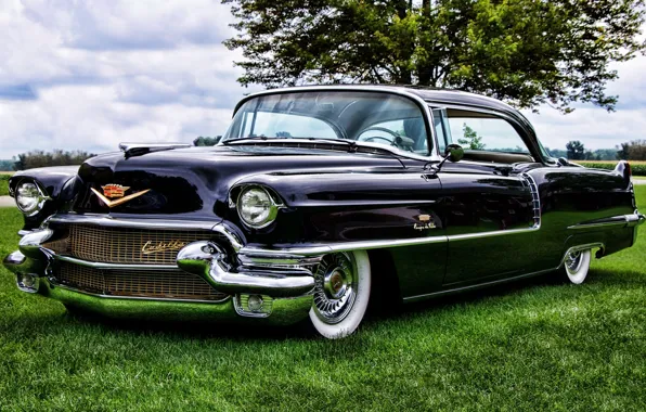 Картинка небо, дерево, Cadillac, Coupe, передок, кадилак, 1956, Sixty-Two