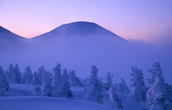 Картинка зима, облака, снег, деревья, туман, Горы