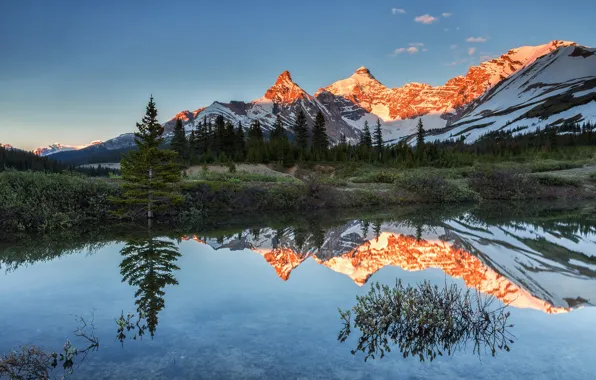 Картинка озеро, отражение, гора, Канада, Альберта, Национальный парк Джаспер, Атабаска