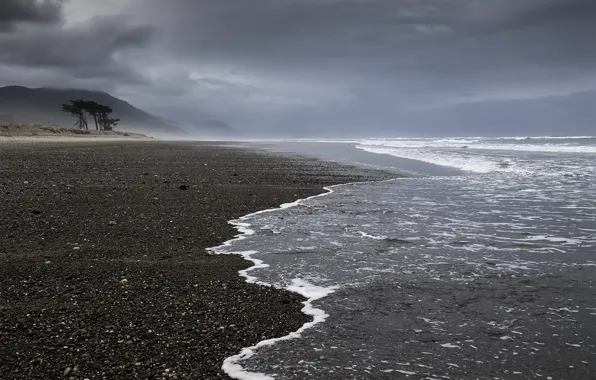 New Zealand, West Coast, Mokihinui Beach