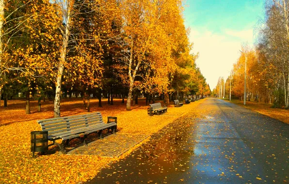 Листья, скамейка, листва, вечер, Парк, золотая осень, Омск
