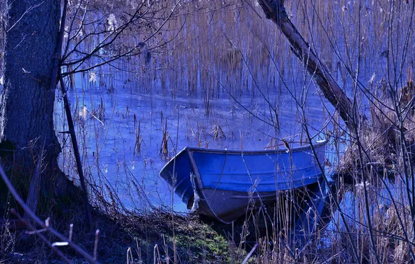 Картинка осень, лес, природа, пруд, дерево, лодка