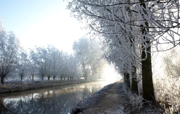 Картинка зима, иней, деревья, река