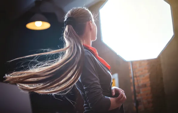 Девушка, волосы, брюнетка, long hair, women, hair, brunettes