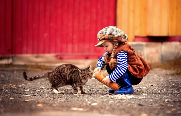 Картинка кошка, кот, девочка