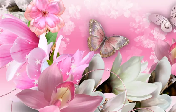 Картинка цветы, коллаж, бабочка, лепестки, орхидеи