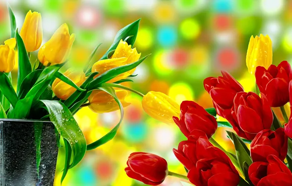 Grafika, kwiaty, tulipany