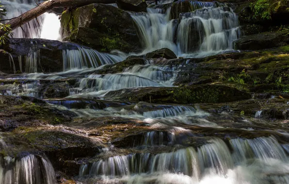 Картинка лес, камни, поток, речка, Virginia Hawkins Falls