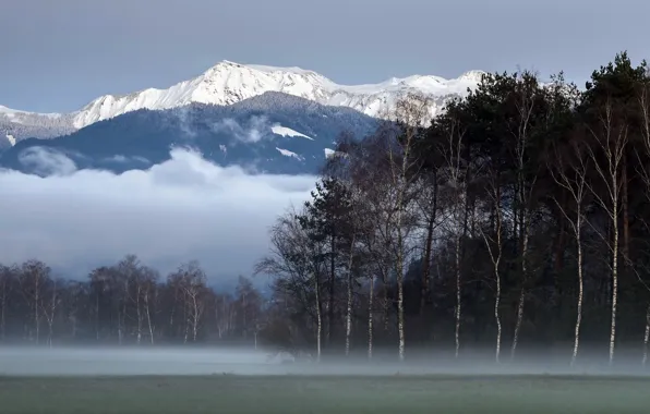 Mountains, fog, blue hour, Lichtenstein