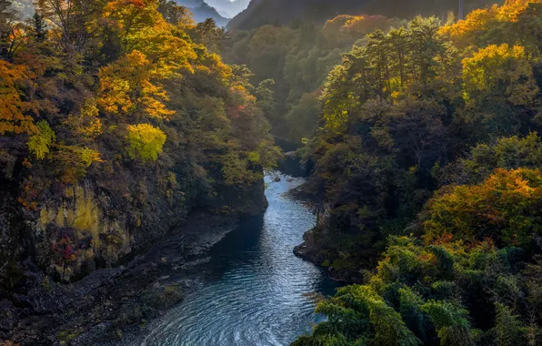 Картинка Japan, forest, river, trees, mountains, rocks, foliage, water ripples