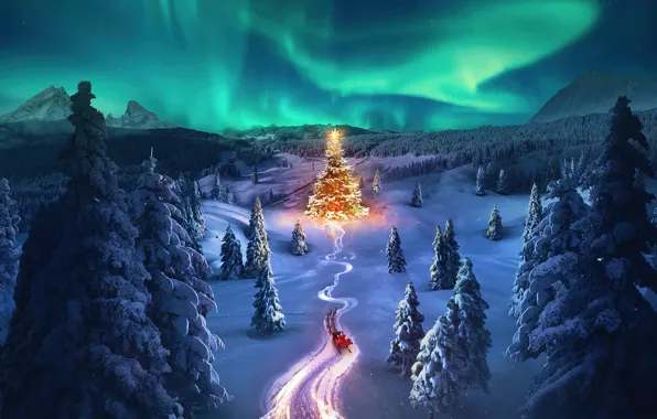 Christmas, Christmas tree, Aurora sky, Snowy Trees, Celebrations, Aesthetic Christmas, Winter Road, Santa Claus chariot