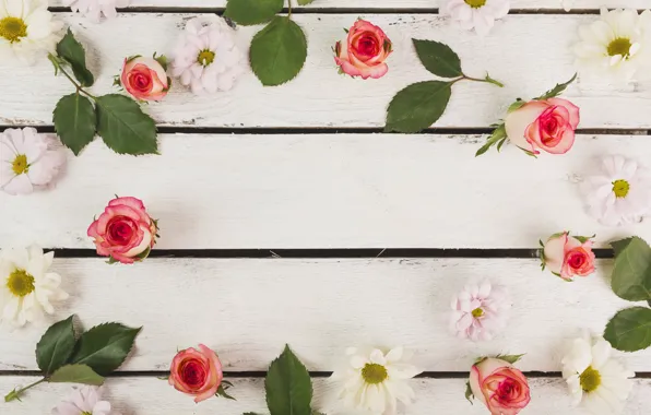 Картинка цветы, розы, rose, бутоны, flower, wood, декор