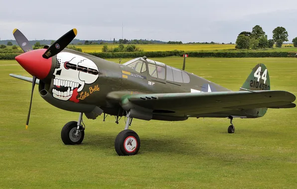 Поле, истребитель, войны, Warhawk, мировой, Второй, времён, Curtiss P-40M