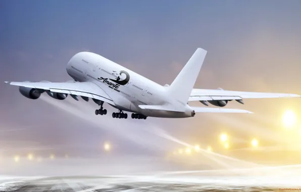 Boeing, logo, amante