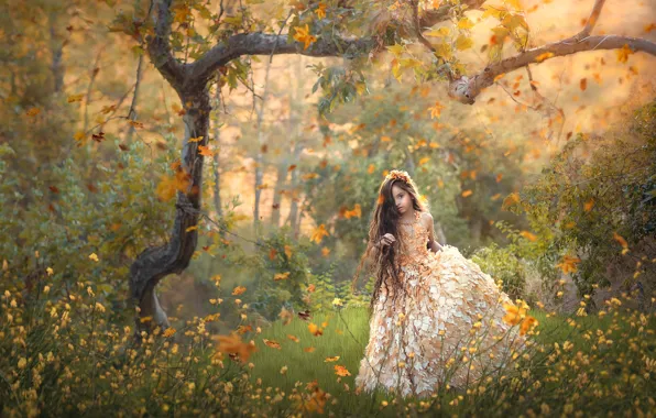 Картинка осень, цветы, дерево, платье, девочка, длинные волосы