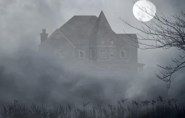 Картинка трава, туман, дом, дерево, луна, мрак, окна, разбитые