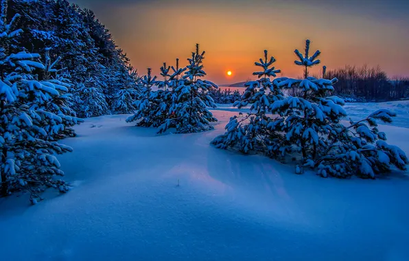 Картинка солнце, снег, деревья, обработка