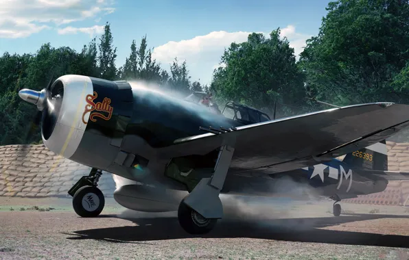 Арт, Thunderbolt, ВВС США, истребитель-бомбардировщик, P-47, sally, Republic