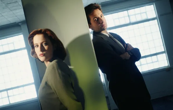 Сериал, The X-Files, Дэвид Духовны, Секретные материалы, дана, малдер