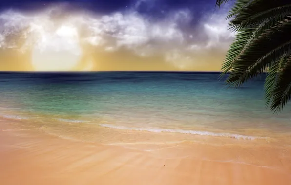 Пляж, пейзаж, пальма, спокойствие, прибой