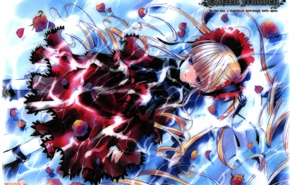 Вода, лепестки, rozen maiden, красные розы, shinku, капор