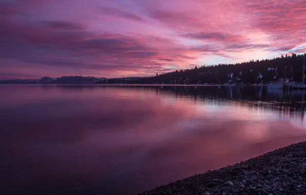 Картинка лес, закат, тучи, природа, берег, USA, California, озеро Тахо
