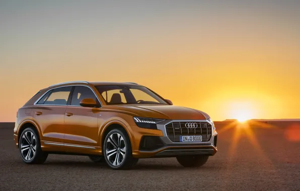 Закат, Quattro, 2018, кроссовер, S-Line, 50 TDI, Audi Q8