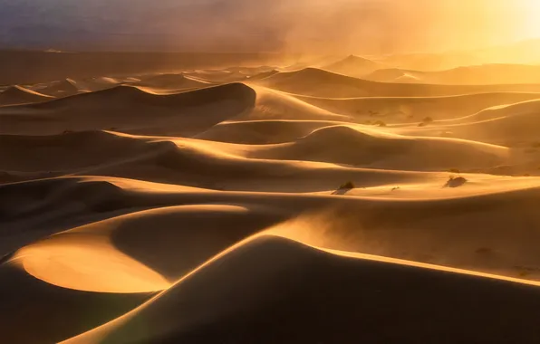 USA, sunset, California, Death Valley, Anthony Ryan