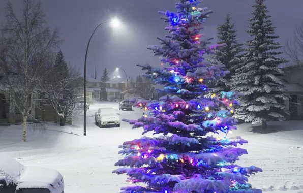 Зима, снег, огни, елка, новый год, гирлянды