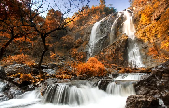Картинка осень, лес, скалы, водопад, поток