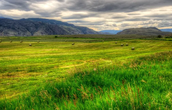 Картинка трава, пейзаж, природа, поля, HDR, Канада, British, Columbia