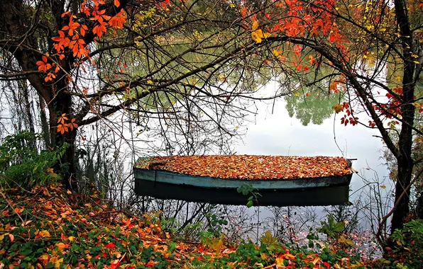 Картинка осень, листья, деревья, озеро, лодка