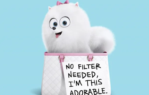 Радость, надпись, собака, сумка, Тайная жизнь домашних животных, The Secret Life Of Pets, Gidget