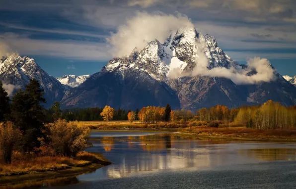 USA, forest, Wyoming, river, sky, trees, landscape, nature