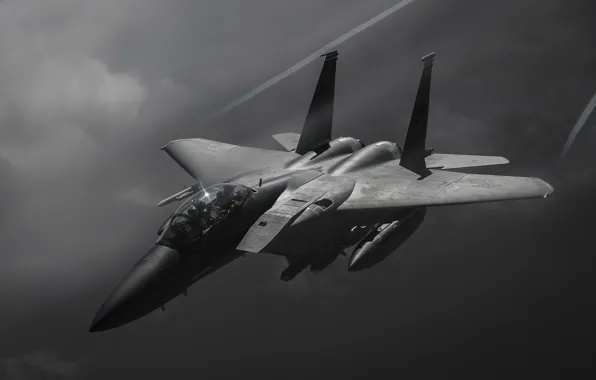 ВВС США, американский двухместный истребитель-бомбардировщик, McDonnell Douglas F-15E Strike Eagle