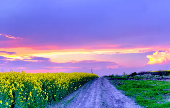 Картинка дорога, поле, небо, цветы, весна, май, Nature, may