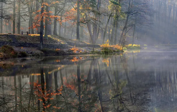 Картинка осень, лучи, свет, деревья, природа, отражение, водоём, Алексей Милокост