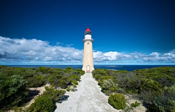 Облака, океан, побережье, маяк, Австралия, кусты, Australia, Lighthouse