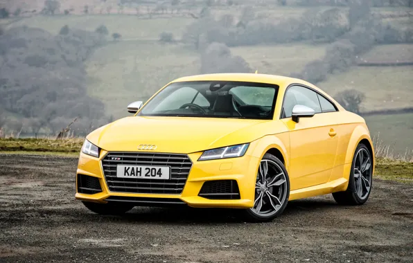 Audi, ауди, купе, Coupe, UK-spec, 2015, TTS