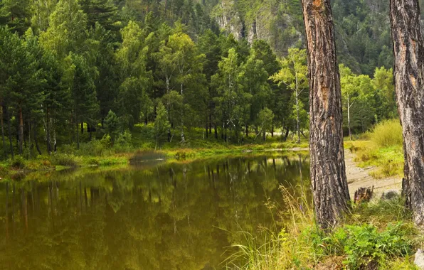 Картинка Осень, Озеро, Лес, Fall, Autumn, Lake, Forest