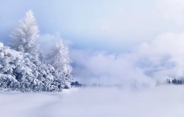 Картинка снег, деревья, мороз