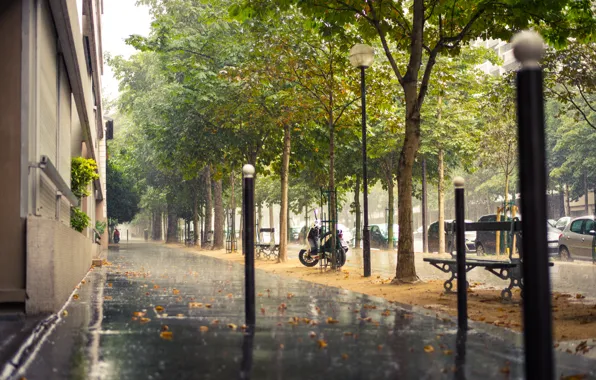 Картинка дорога, деревья, машины, город, дождь, улица, Франция, Париж