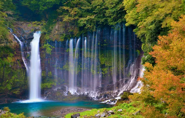 Картинка осень, лес, деревья, скала, водопад, Япония, Japan, Shiraito Falls