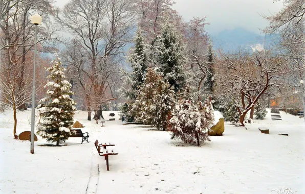 Картинка Зима, Снег, Парк, Winter, Park, Snow