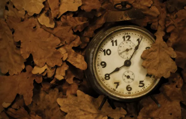 Картинка листья, фон, часы