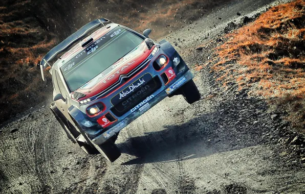 Спорт, Машина, Гонка, Ситроен, Грязь, Citroen, Автомобиль, WRC