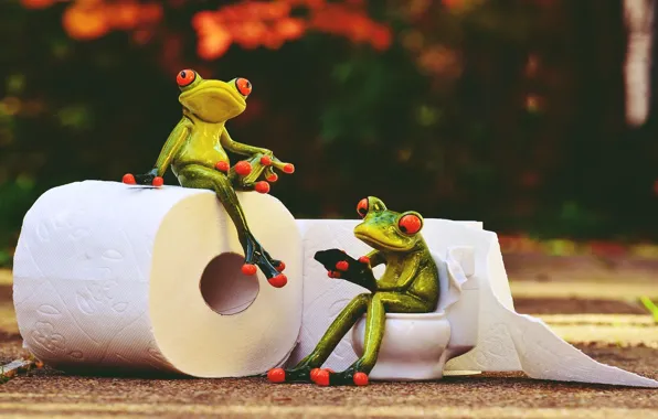 Картинка vintage, animals, style, frog, rendering, paper, toilet