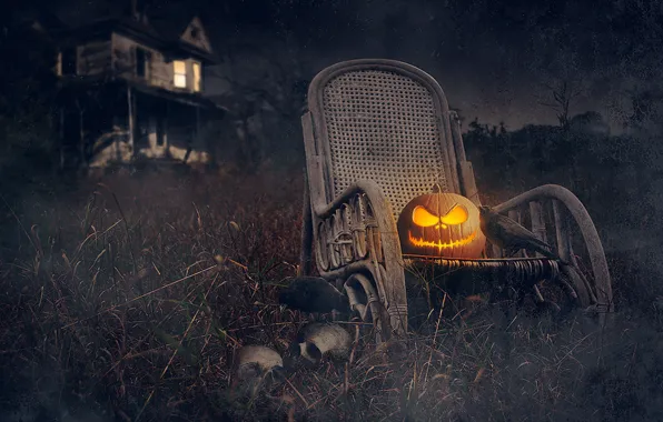 Картинка ночь, дом, праздник, Halloween, тыква, черепа, Хэллоуин, грачи